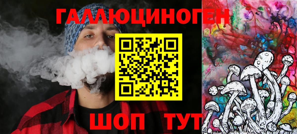 Псилоцибиновые грибы Cubensis Гулькевичи