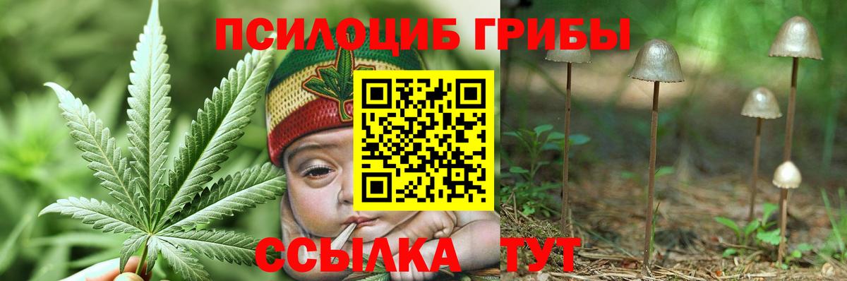 Гулькевичи  Галлюциногенные грибы мухоморы  Вход с VPN 